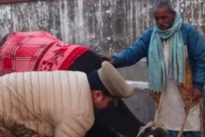 Govansh taskari Ambedkar Nagar