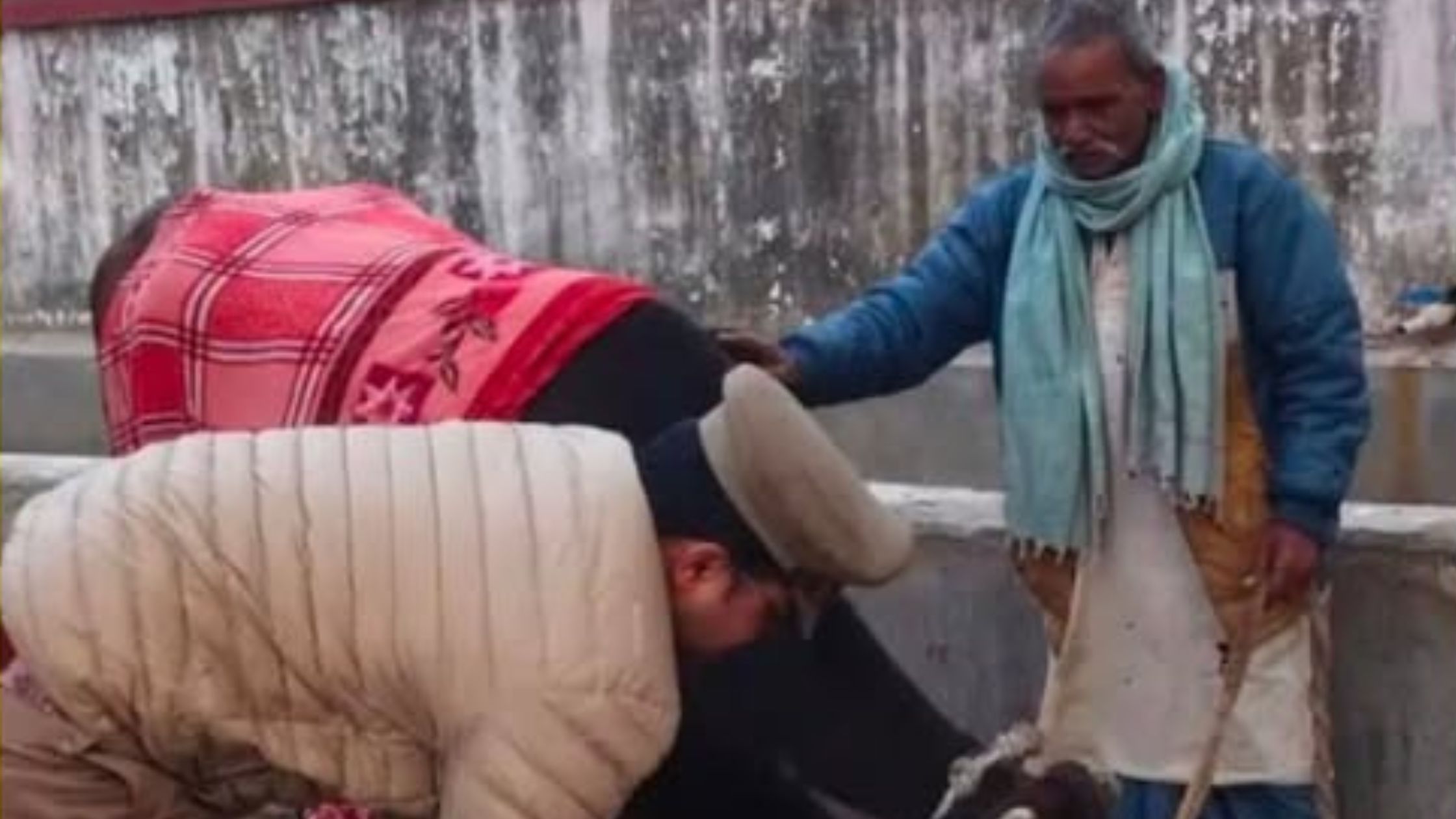 Govansh taskari Ambedkar Nagar